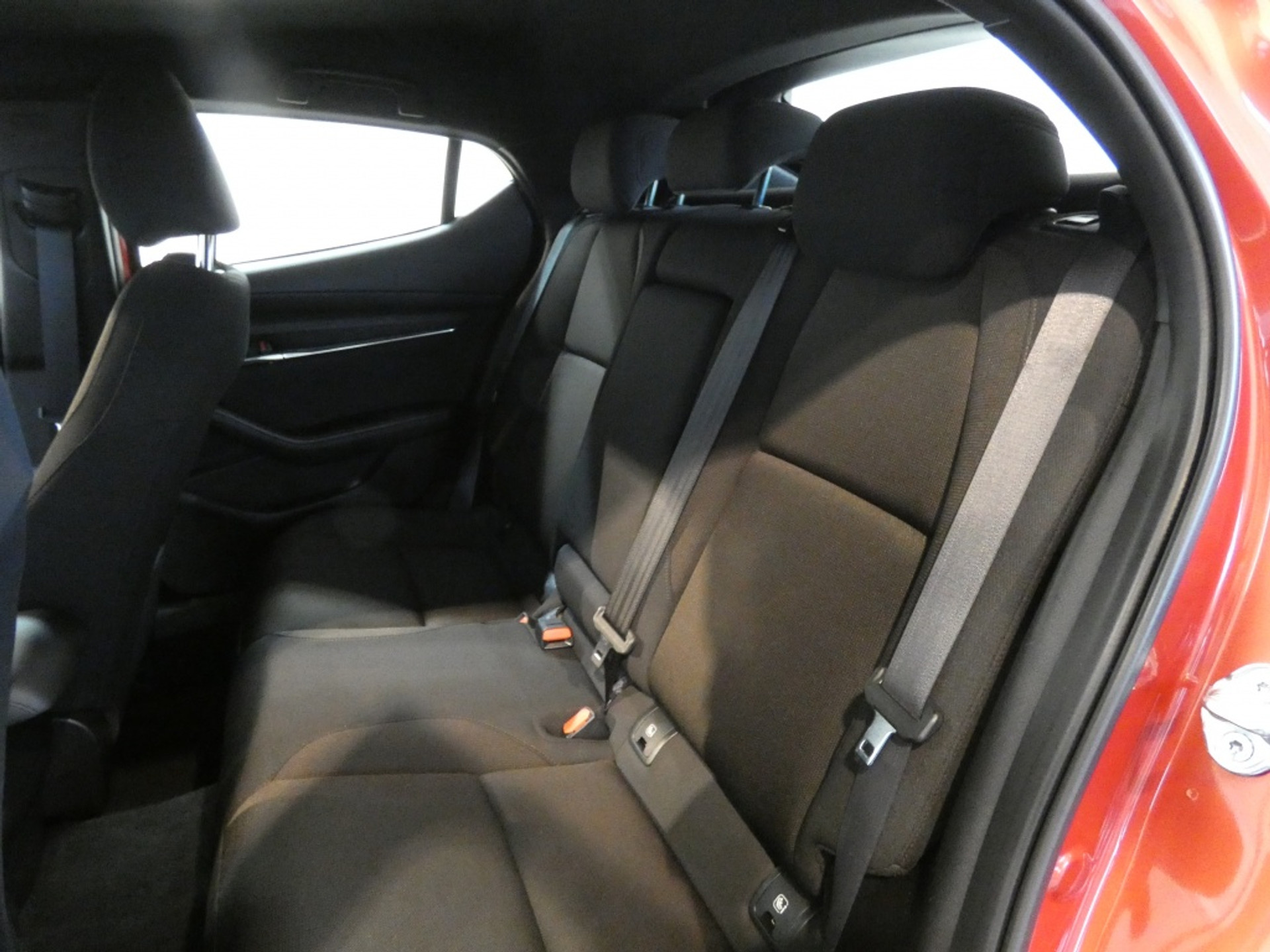 42260469-12.jpg