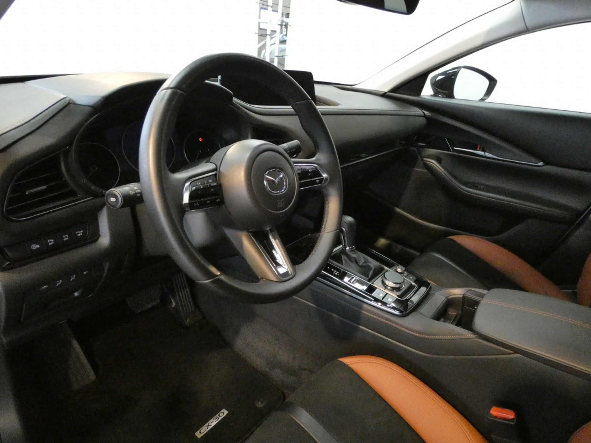 43136265-9.jpg