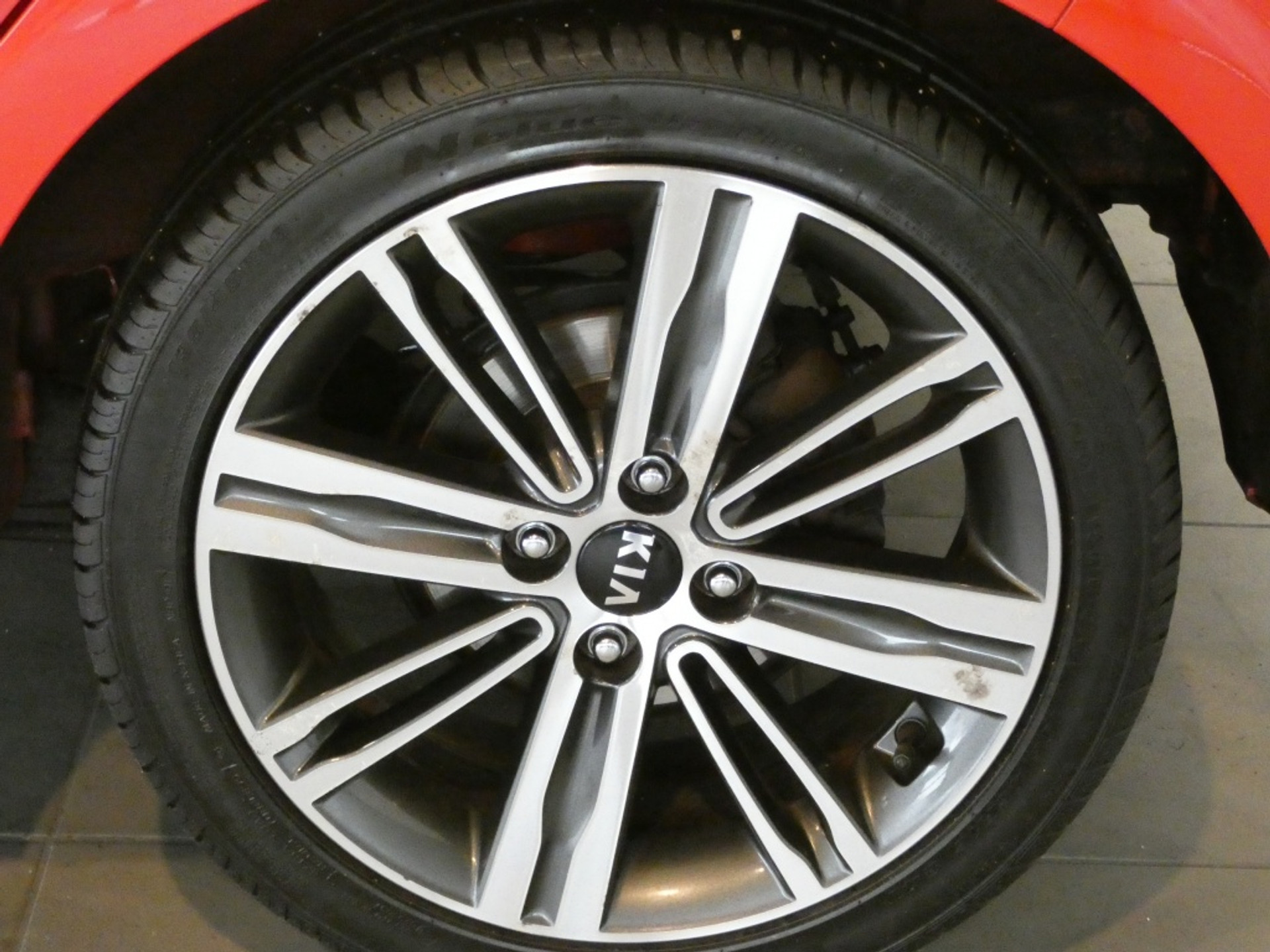 44353268-9.jpg