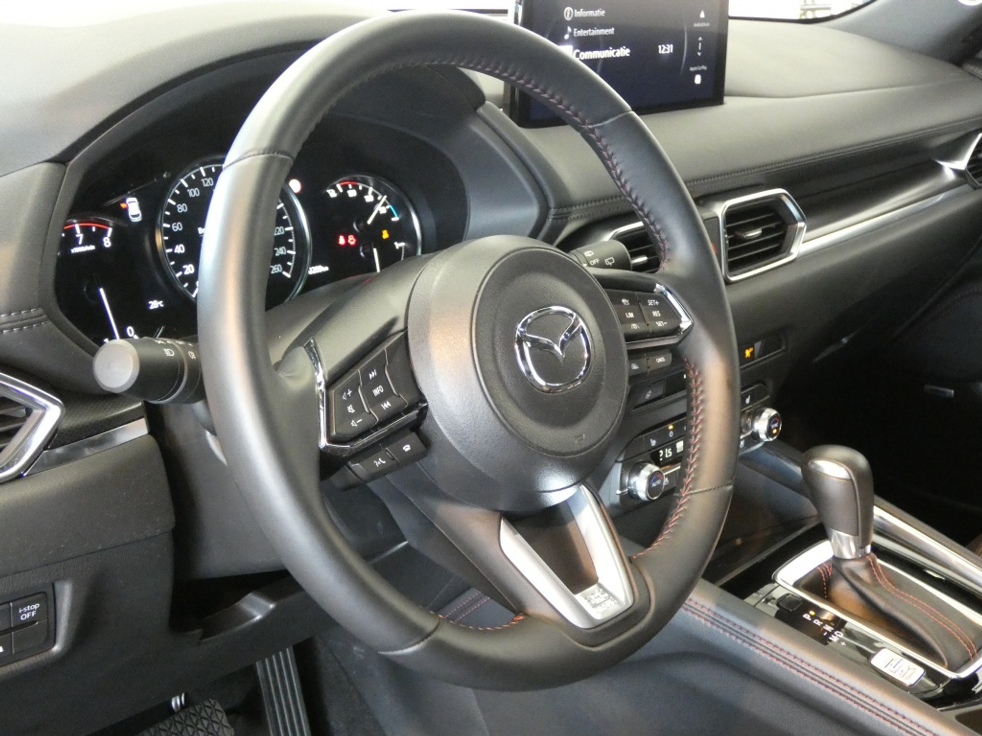 44461624-13.jpg