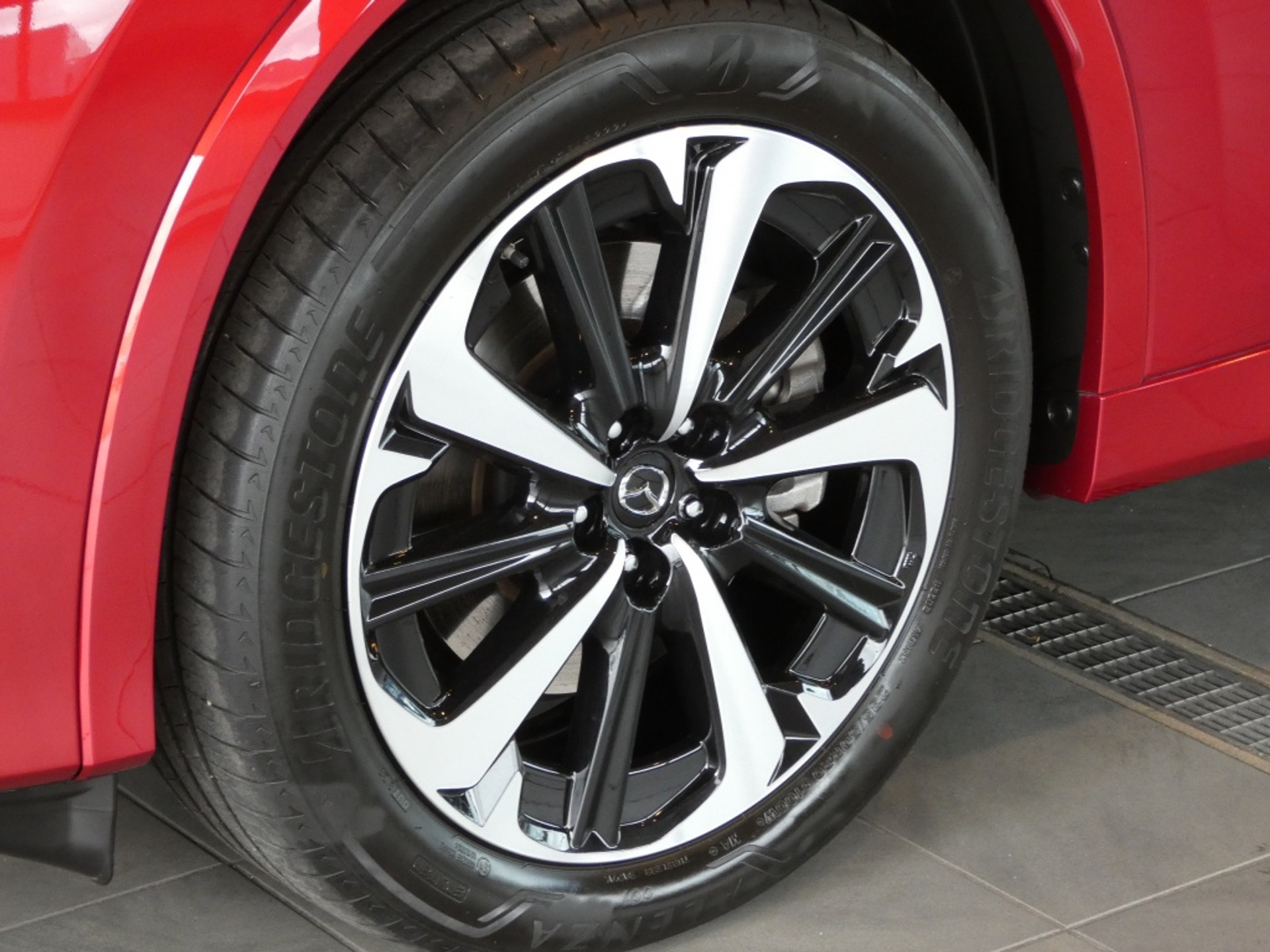 45870464-6.jpg