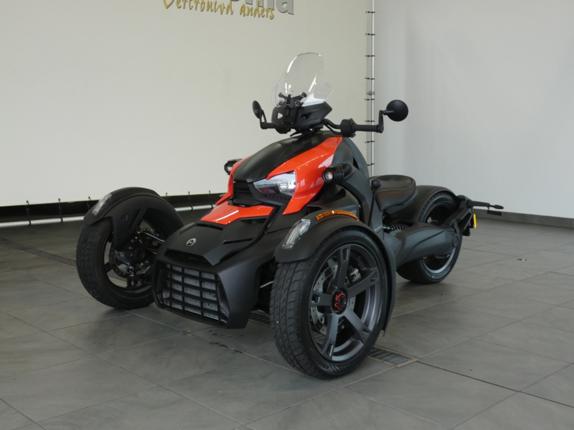48589025-0.jpg