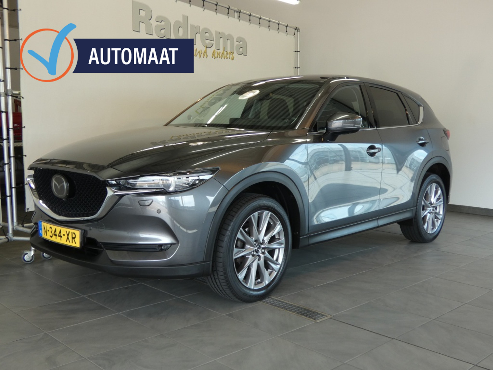 54665034